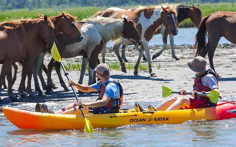 8:30am • 1:30pm • SunsetYou will love kayaking where Assateague’s wild horses & wildlife live. Enjoy spectacular scenery on the guided kayak tour that offers unique memories.