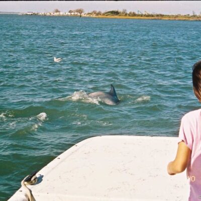 Assateague Explorer dolphin tour