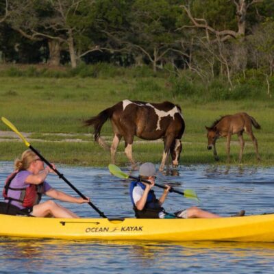 Assateague Explorer kayak wild horses tour