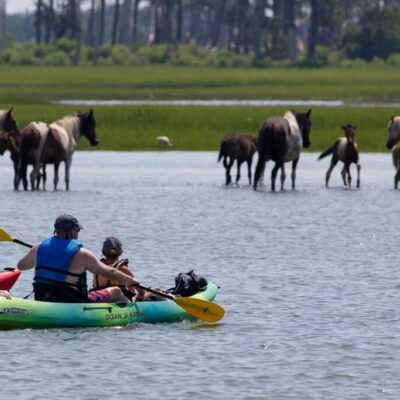 Assateague Explorer kayak wild horses tour
