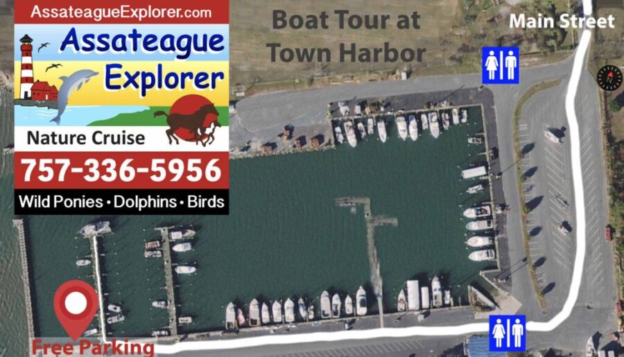 Assateague Explorer boat tour departs from Chincoteague Town Harbor