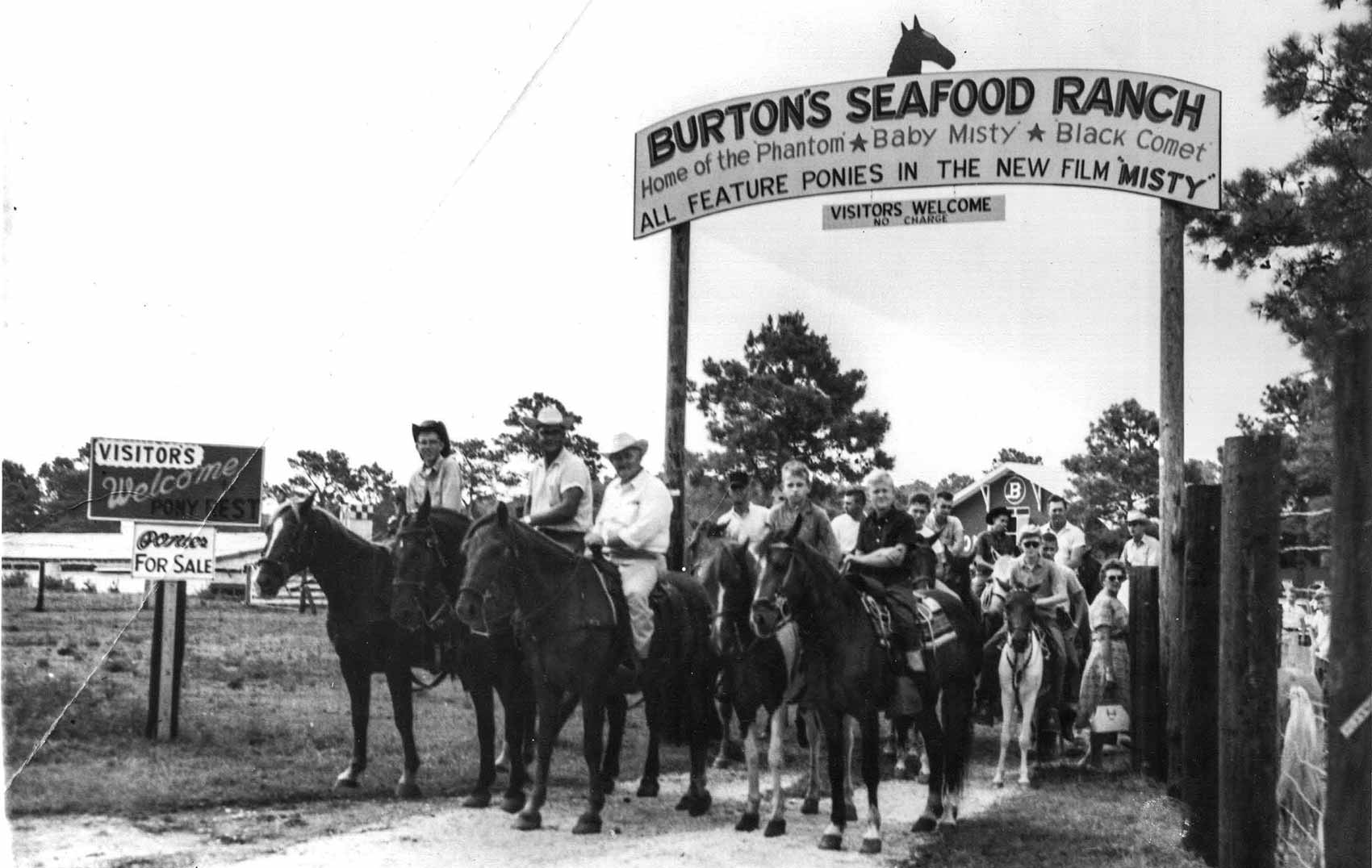 home of misty, burton's seafood ranch