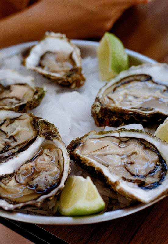 chincoteague seafood oyster