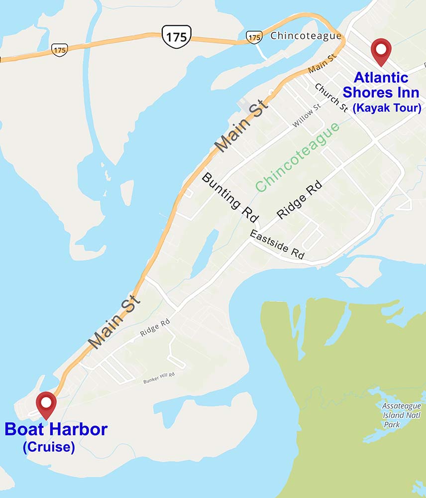 chincoteague island map showing the boat harbor where assateague explorer cruise departs from