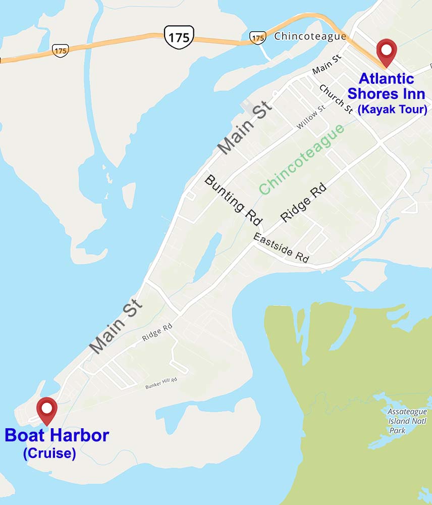 chincoteague island map showing atlantic shores inn as a meeting place for kayak tour